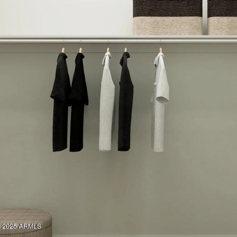 Owners Walk in Closet