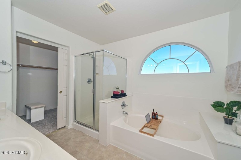 Primary Bath-Walk in Closet