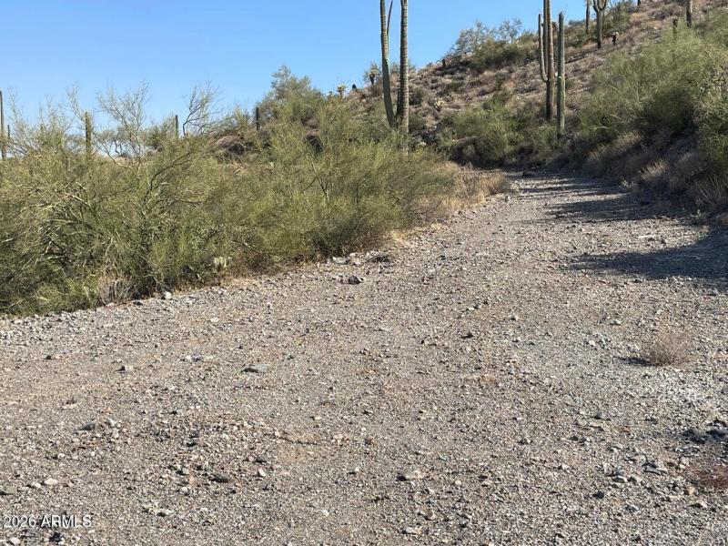 Parcel D cleared area to road