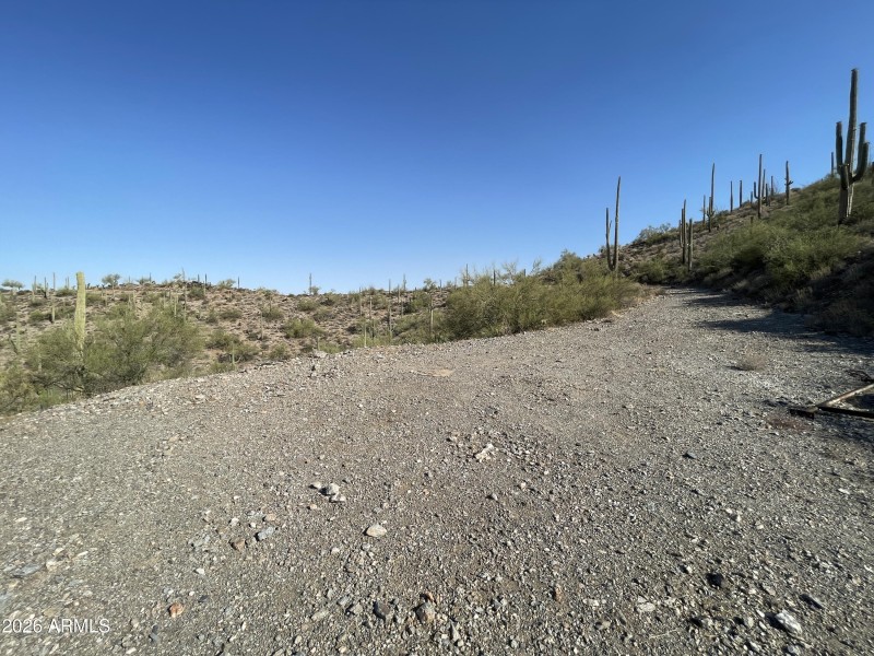 Parcel D cleared area