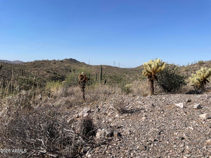 Parcel D Potential expansion area