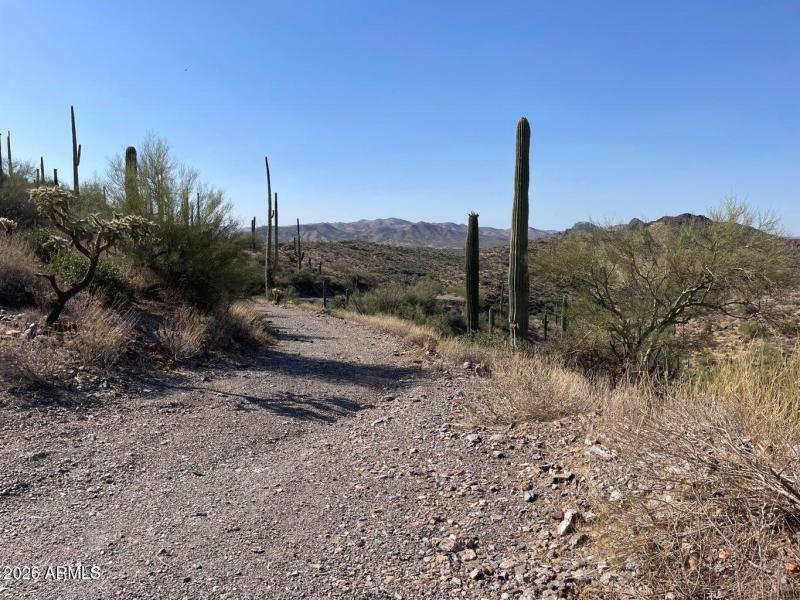 Parcel D Road to cleared area