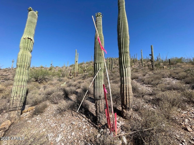 Parcel D South east property marker near