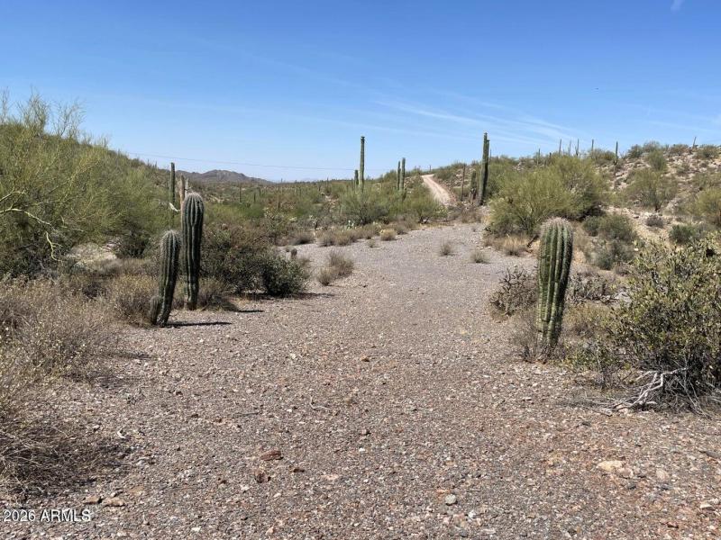 Parcel A access road to the parcel looki