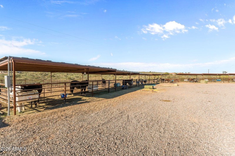 38-web-or-mls-DSC02790