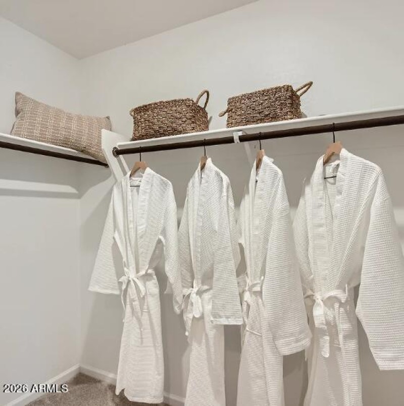 Owners Walk in Closet