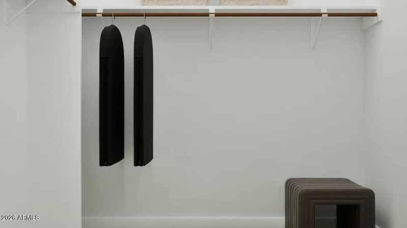 Owners Walk in Closet