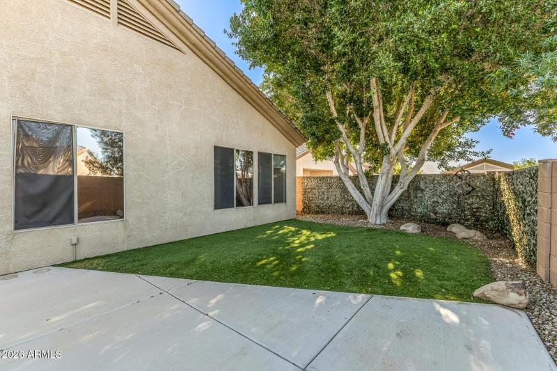 Low Maintenance Backyard