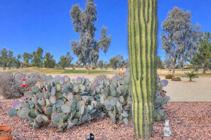 Gorgeous landscaping