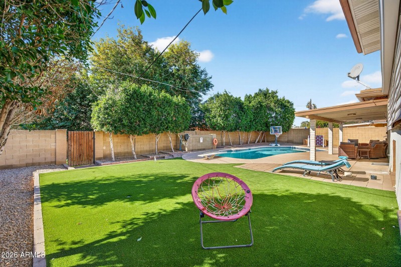 Low maintenance turf