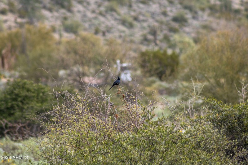 Serene & Private Desert Living