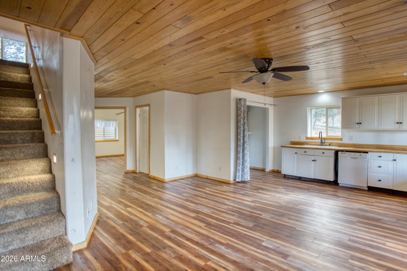 Paxmanphoto_PAX_6701