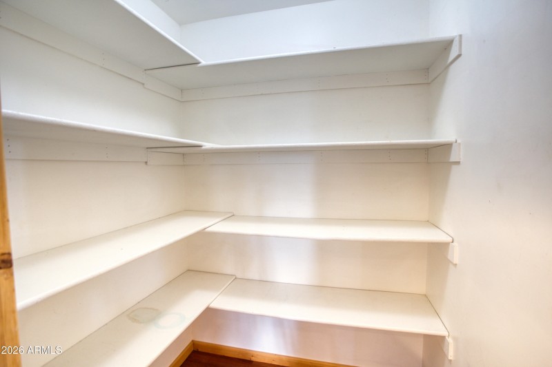 Paxmanphoto_PAX_6743