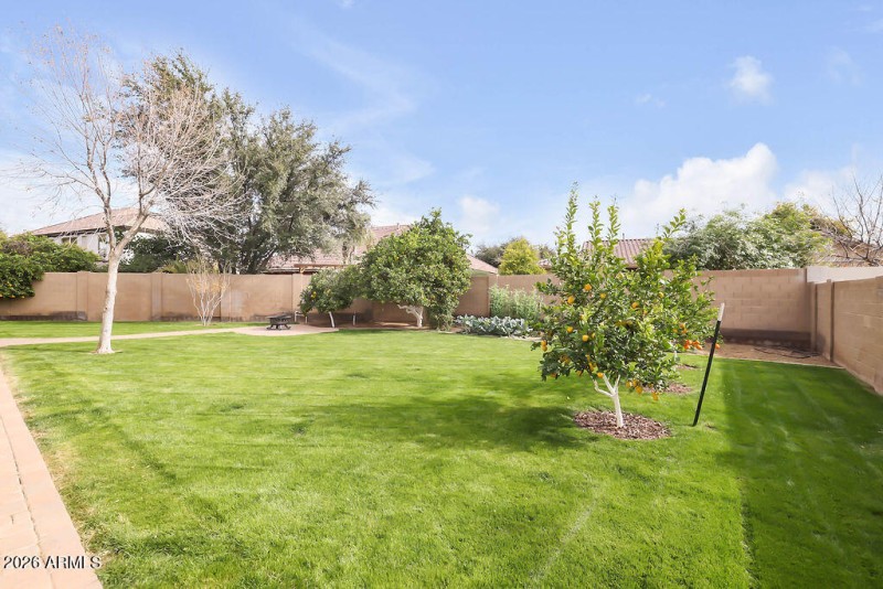 Garden and Fruit Trees