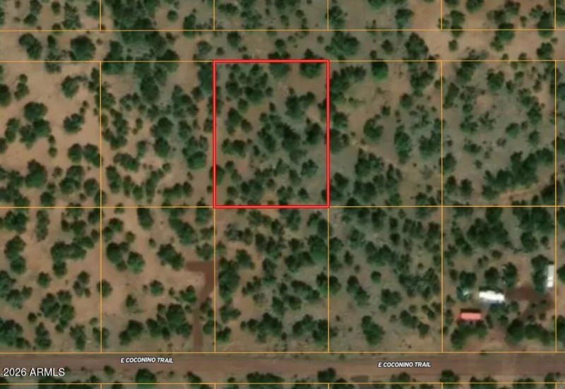 Screenshot 2026-01-24 115550