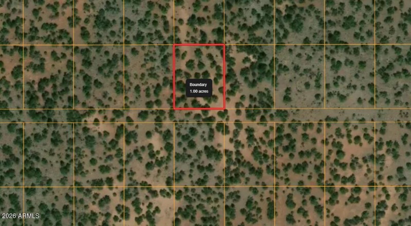 Screenshot 2026-01-24 142154