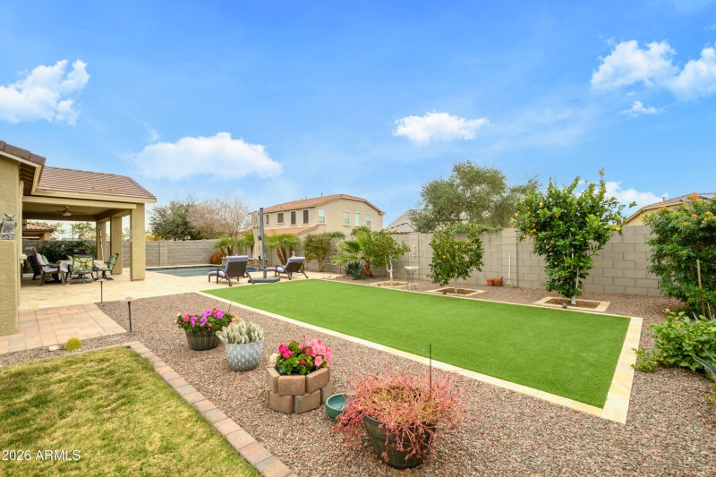 Turf in Back Soideyard