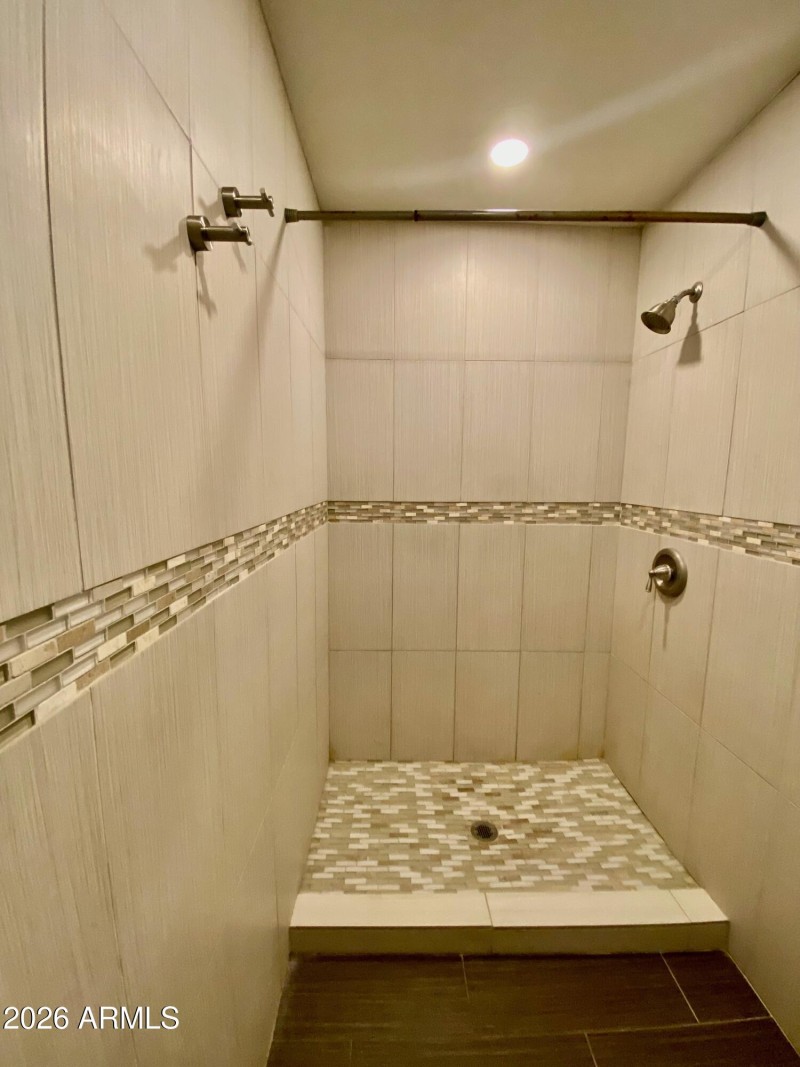 Master Bathroom Shower