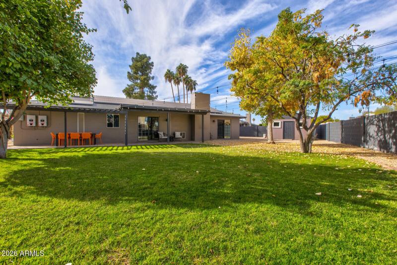 A Backyard of Dreams