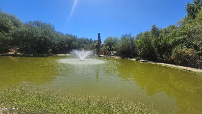 1/4 Acre Pond at the Lazy RC Ranch