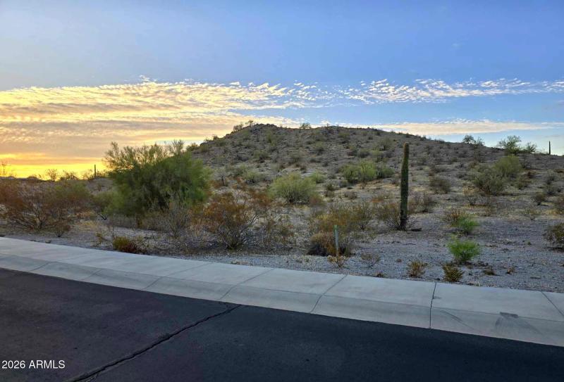 Must See to Appreciate