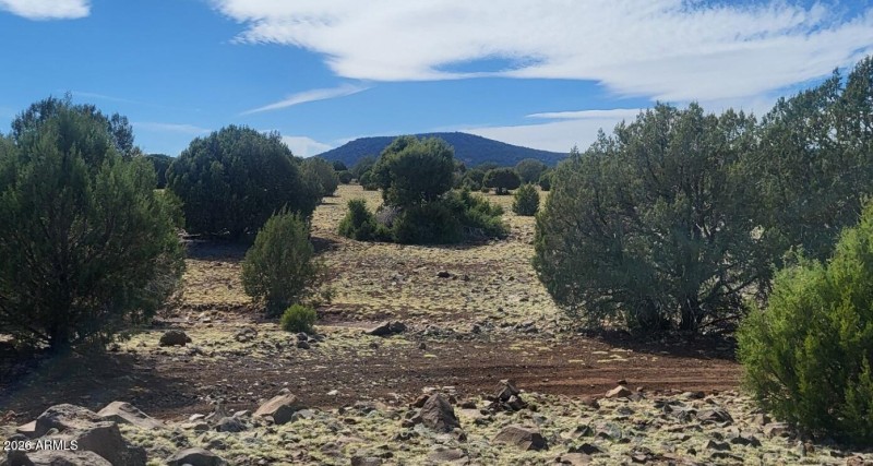 thumbnail_20250416_150224