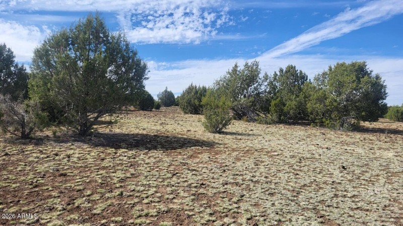 thumbnail_20250416_151023