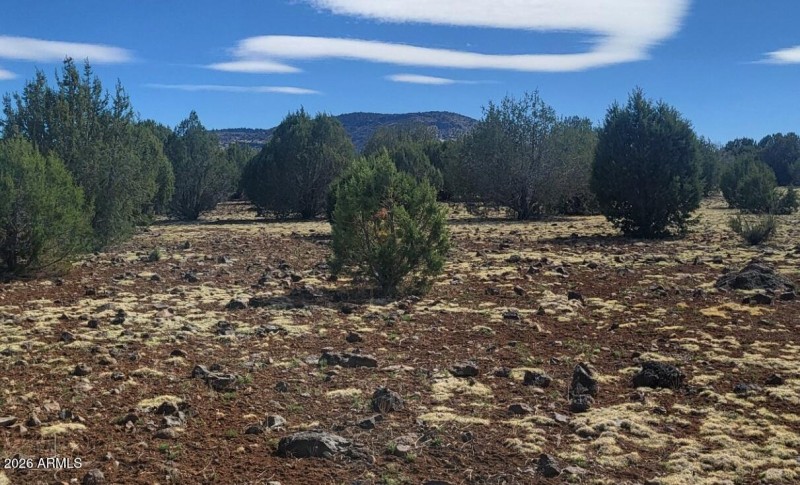 thumbnail_20250416_151227