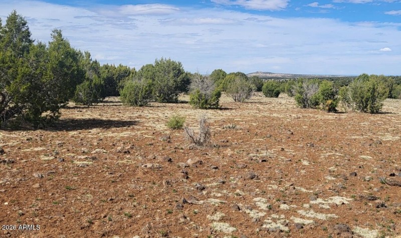 thumbnail_20250416_151326