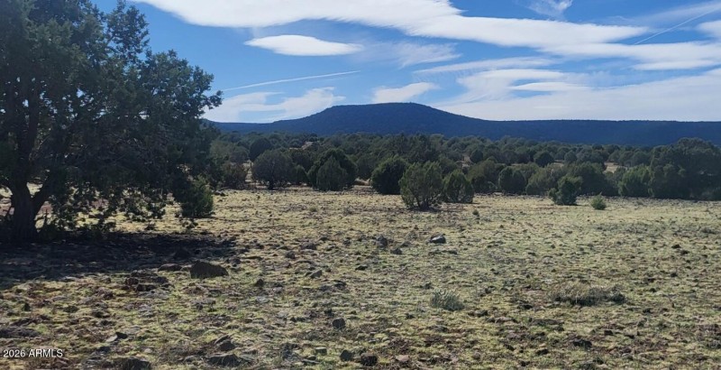 thumbnail_20250416_151957