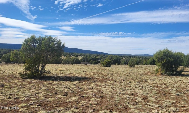 thumbnail_20250416_152101