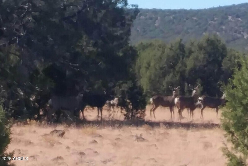 20171022-105739-1-1_3_orig