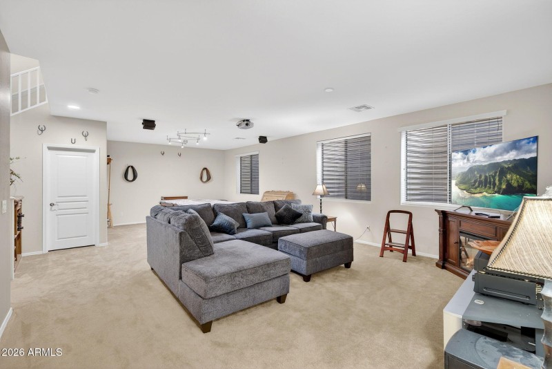 Downstairs Media Room