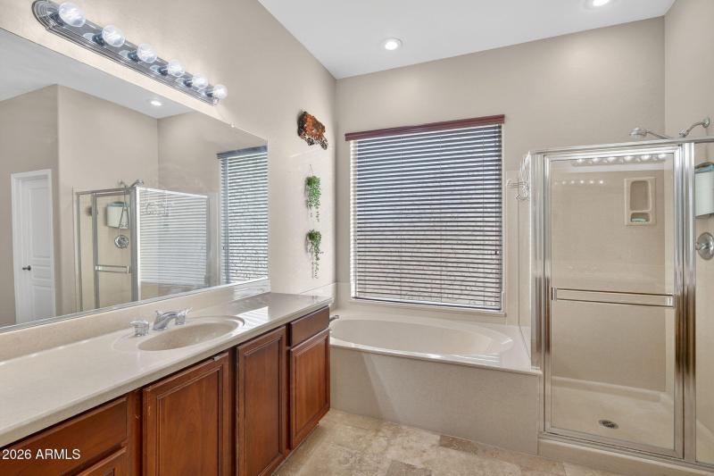 Primary Tub & Shower