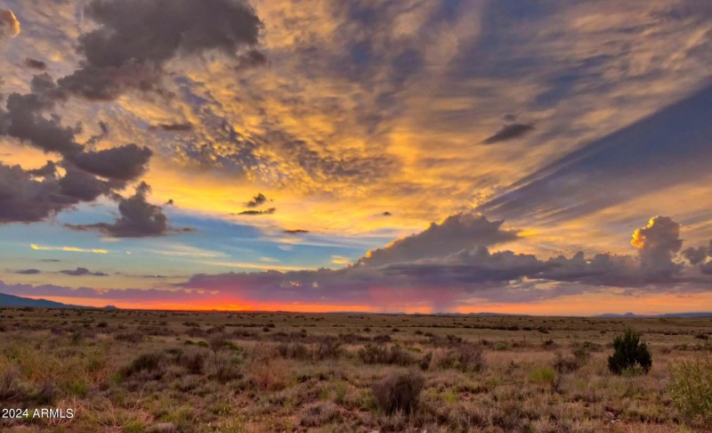 Screen Shot 2017-07-28 at 8.22.11 AM