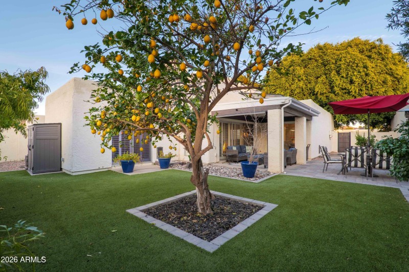 Low Maintenance, Turf Lawn