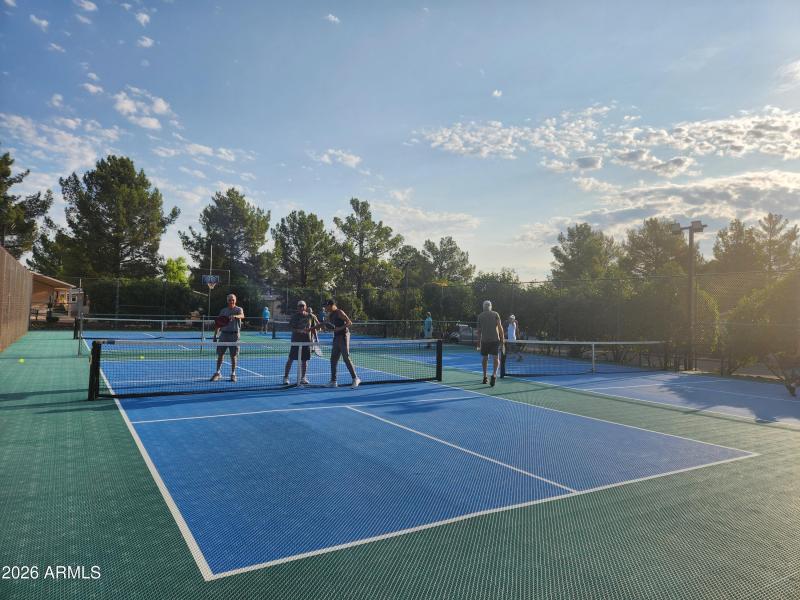 PS Pickleball Court