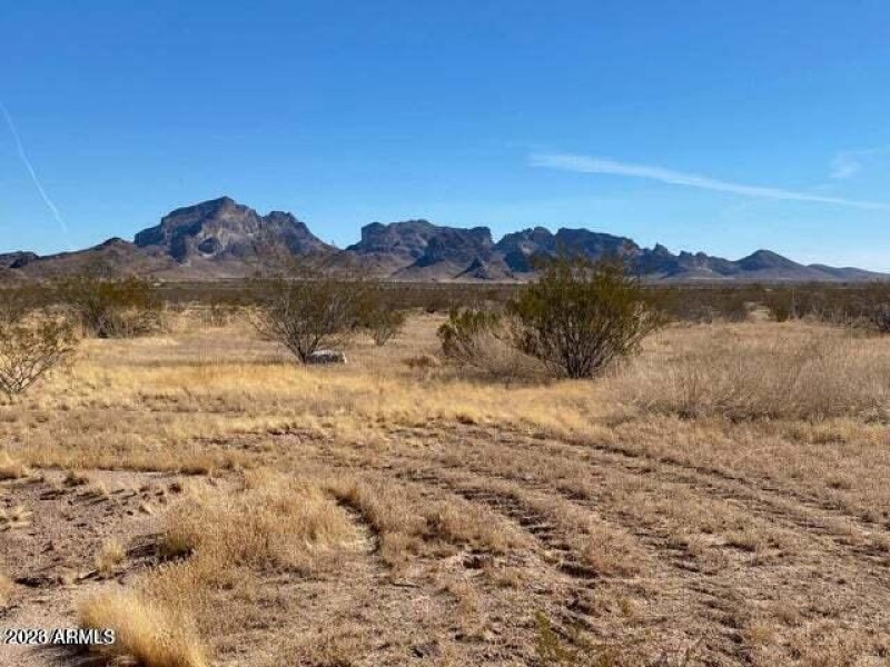 20231109234431460263000000-o