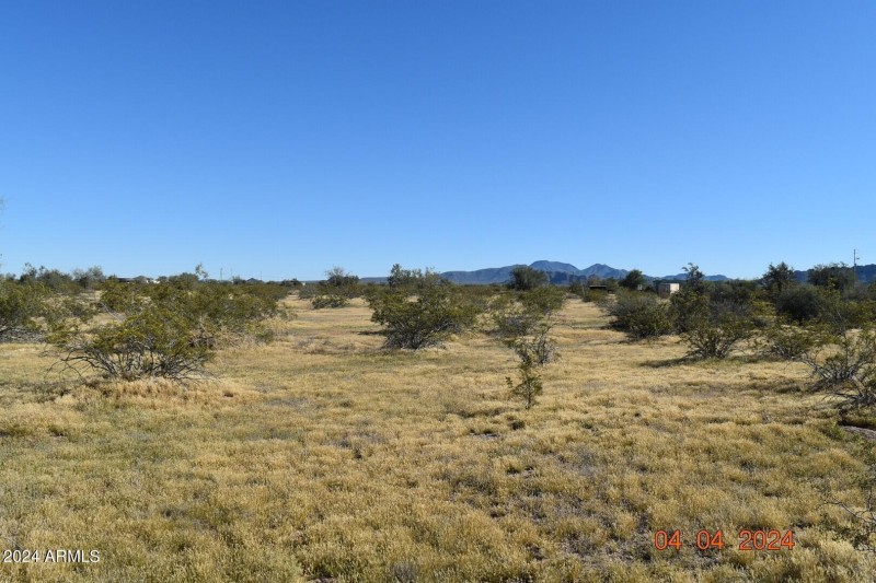 Organ pipe looing south wider