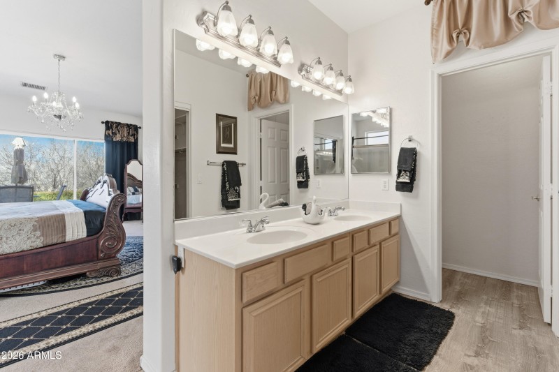 17-Primary Bathroom Vanity