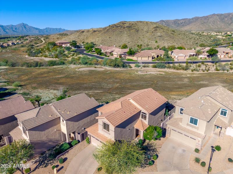 Desert Preserve Backdrop