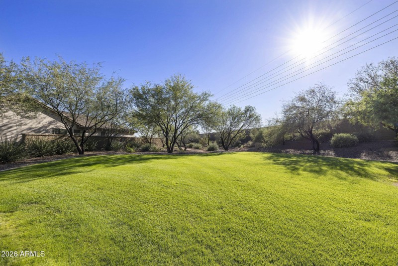 park down the street