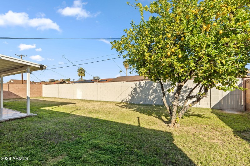 42-web-or-mls-DSC_9042