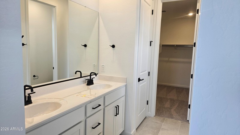 Primary Bathroom Vanity