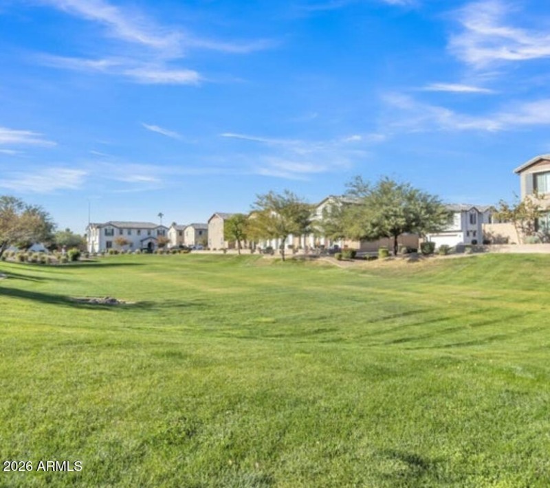 Parks & Dog Park To Enjoy