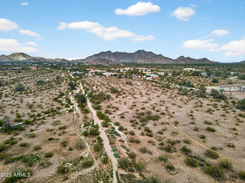 2-web-or-mls-2-web-or-mls-11-9950 Ginger