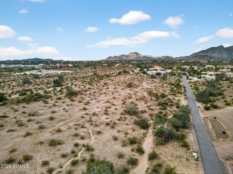 3-web-or-mls-3-web-or-mls-12-9950 Ginger