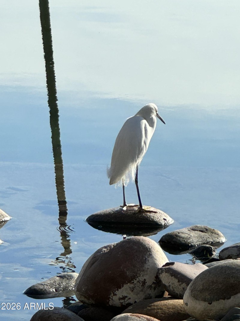 IMG_0154_1769647094468