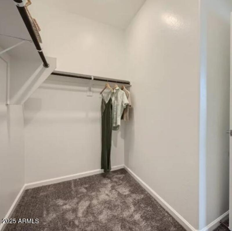 Owners Walk in Closet