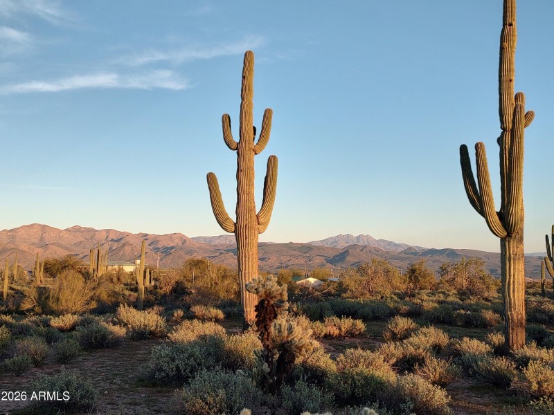 Stunning Four Peaks Views